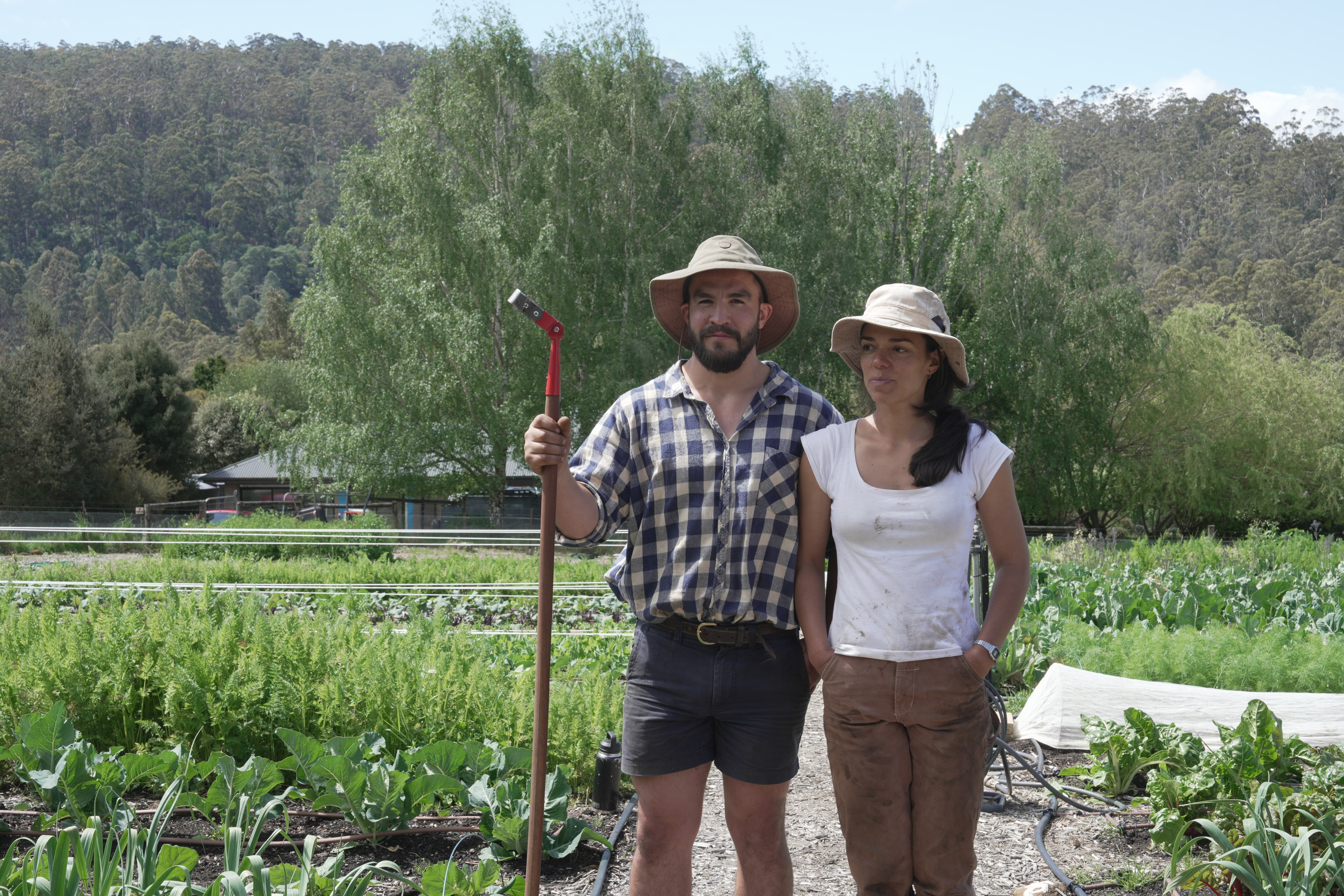 Uncertainty for small-scale Tasmanian farmers over new food safety rules