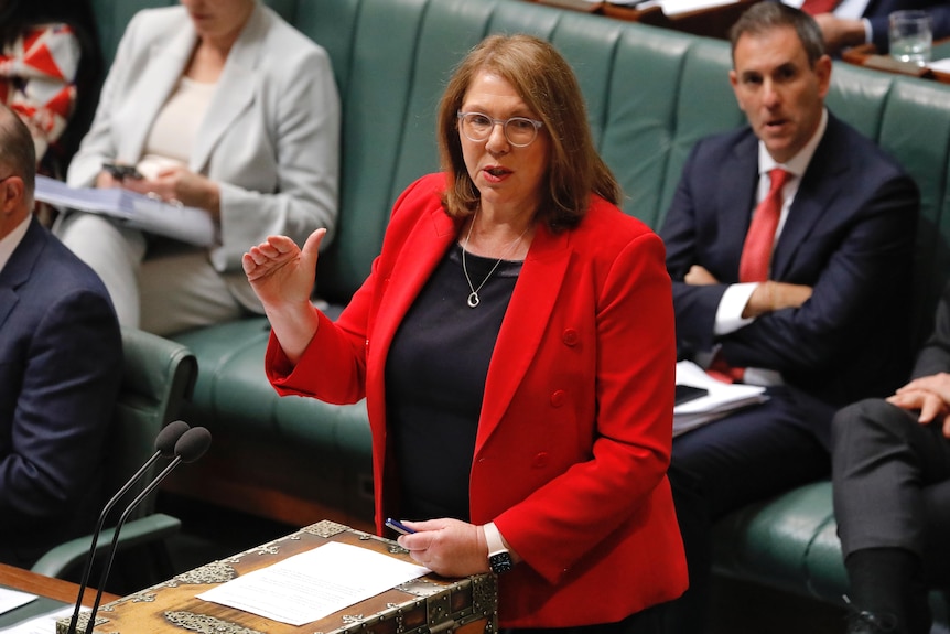 Catherine King standing speaking wearing a bright red blazer. 