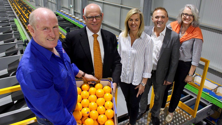 Shane Kay, Mark English, Vanessa Gillam, Alan Yildiz and Sue Middleton celebrating the opening of a mega citrus pack shed