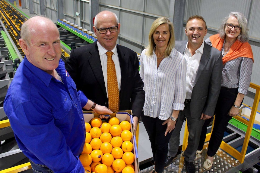 Shane Kay, Mark English, Vanessa Gillam, Alan Yildiz and Sue Middleton celebrating the opening of a mega citrus pack shed
