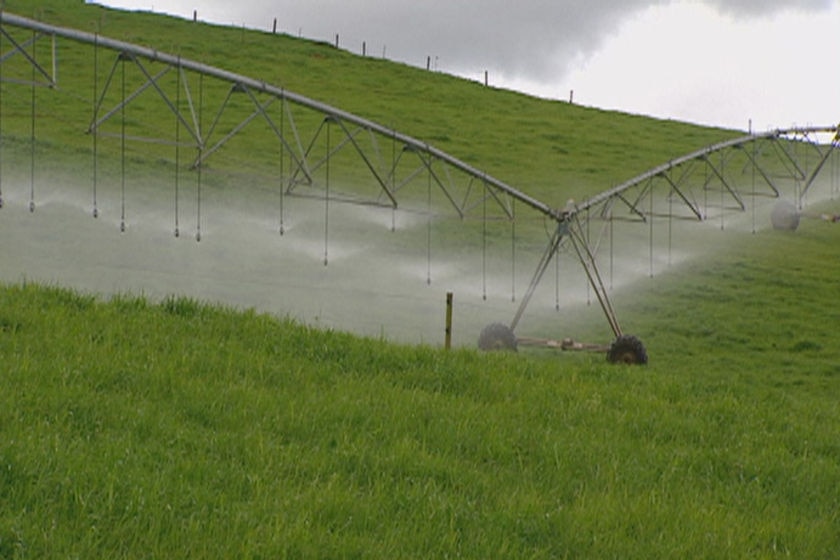 A farm in Tasmania's midlands being irrigated to grow crops.