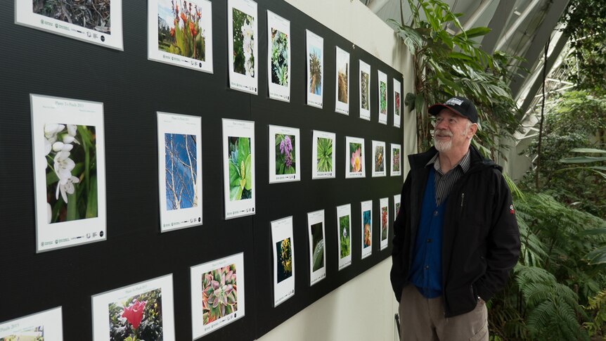 Adelaide Botanical Gardens education officer Michael Yeo looks over some of the photographs submitted by students.