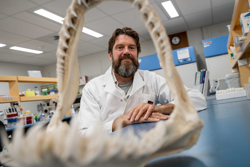 Dr Stow wears a white lab coat and is pictured through a shark's jawbones