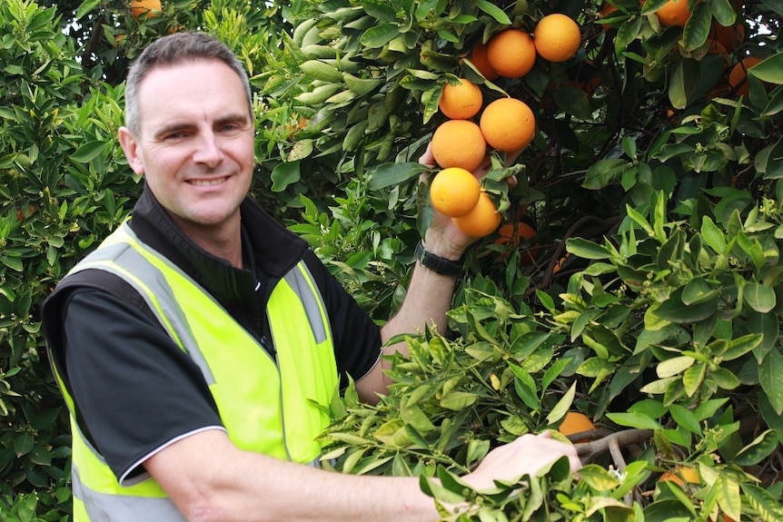 Ben Cant next to an orange tree in Renmark.