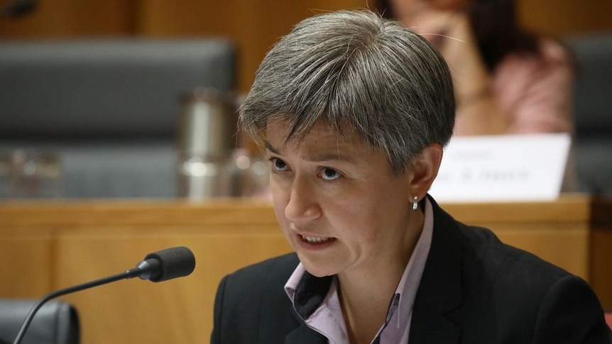 Penny Wong brought up the claim about Mr Hockey in a Senate estimates hearing.
