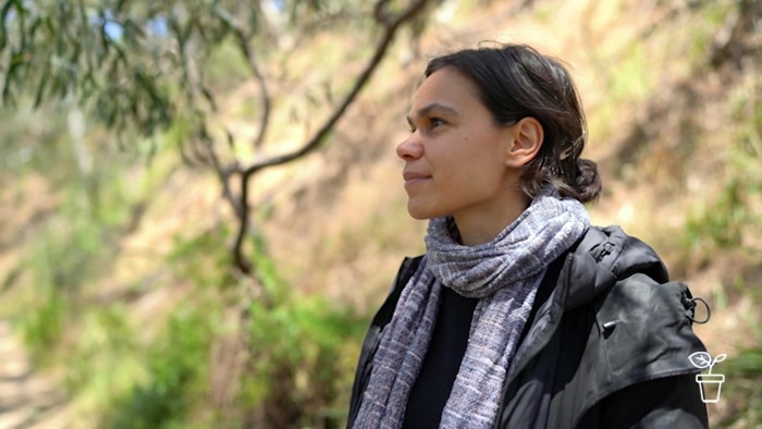Young Indigenous woman looking out into Australian bushland