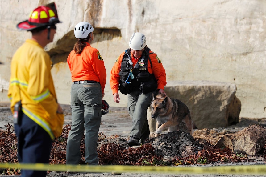 Responders and a dog search the scene of a beach cliff collapse