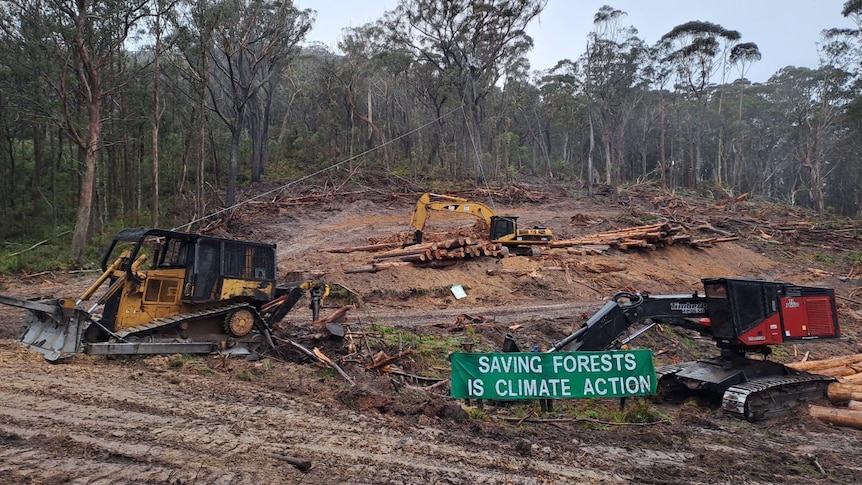 Logging machines inside a forest.