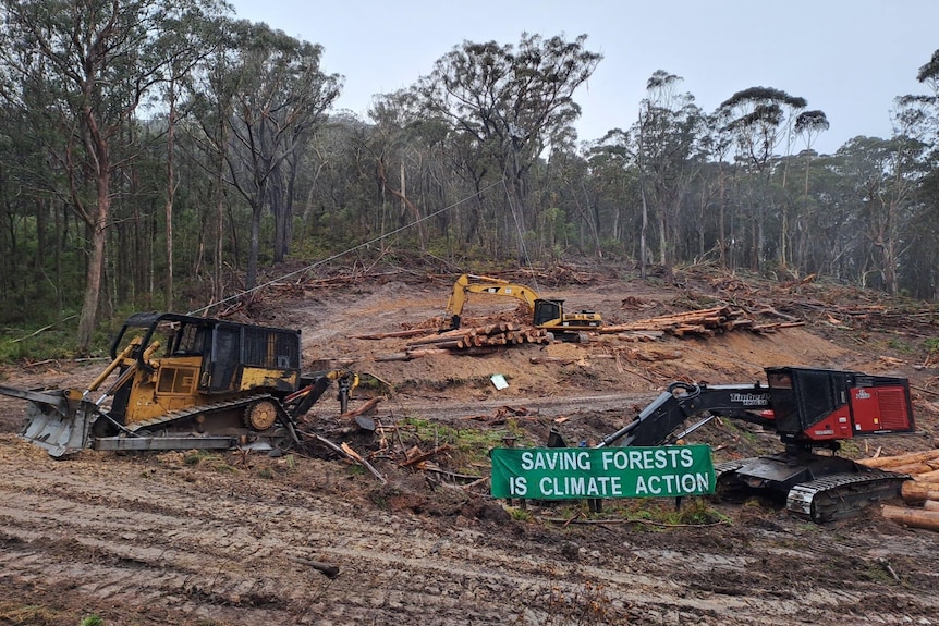 Logging machines inside a forest.