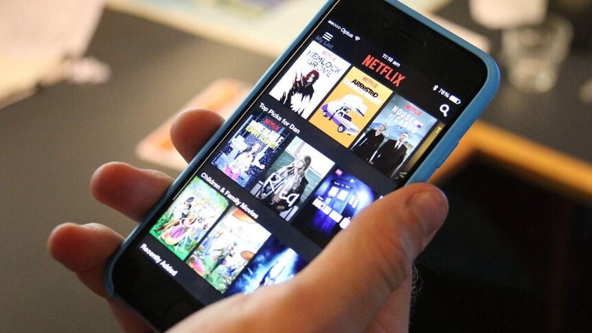 Netflix diberi ‘Kesepakatan API (tampilan program aplikasi) yang Diperpanjang’.