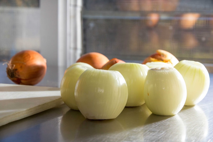 Onions sit on a kitchen bench.