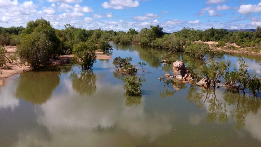 The Einasleigh River in Queensland's Gulf Country.