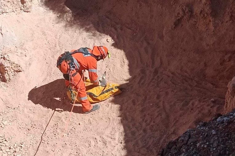 An SES member rescues a kangaroo.