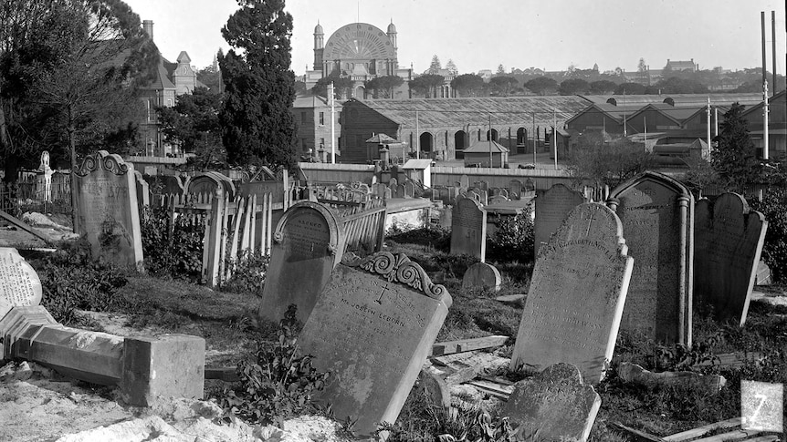 A black and white photograph of a grave site with a row of headstones.