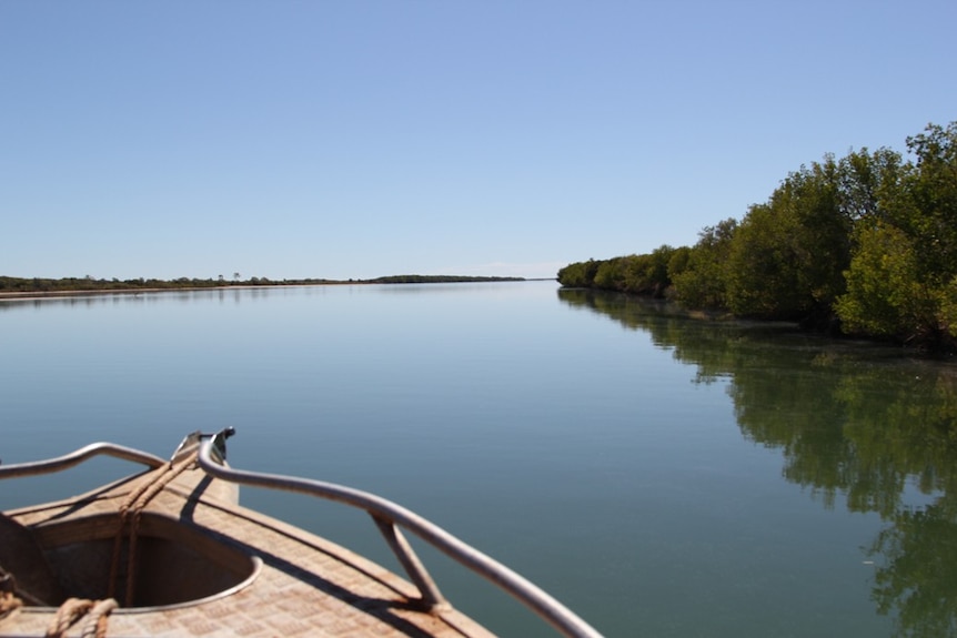 the bow of a boat in the foreground, McArthur river and trees on banks to the right