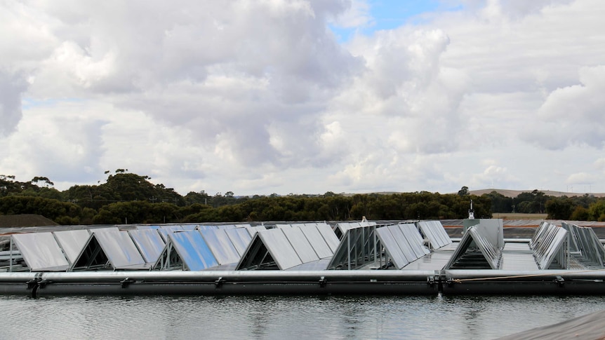 Jamestown's floating solar plant