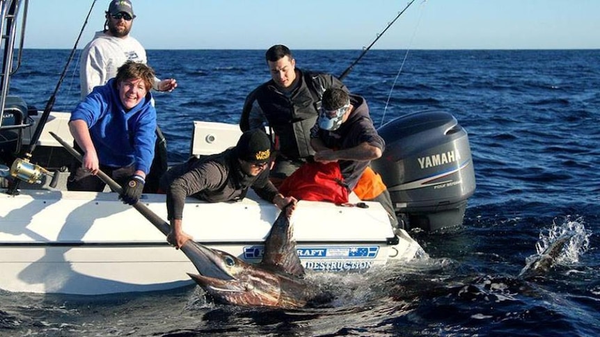 Tasmania will become a premium tourism destination for catching swordfish