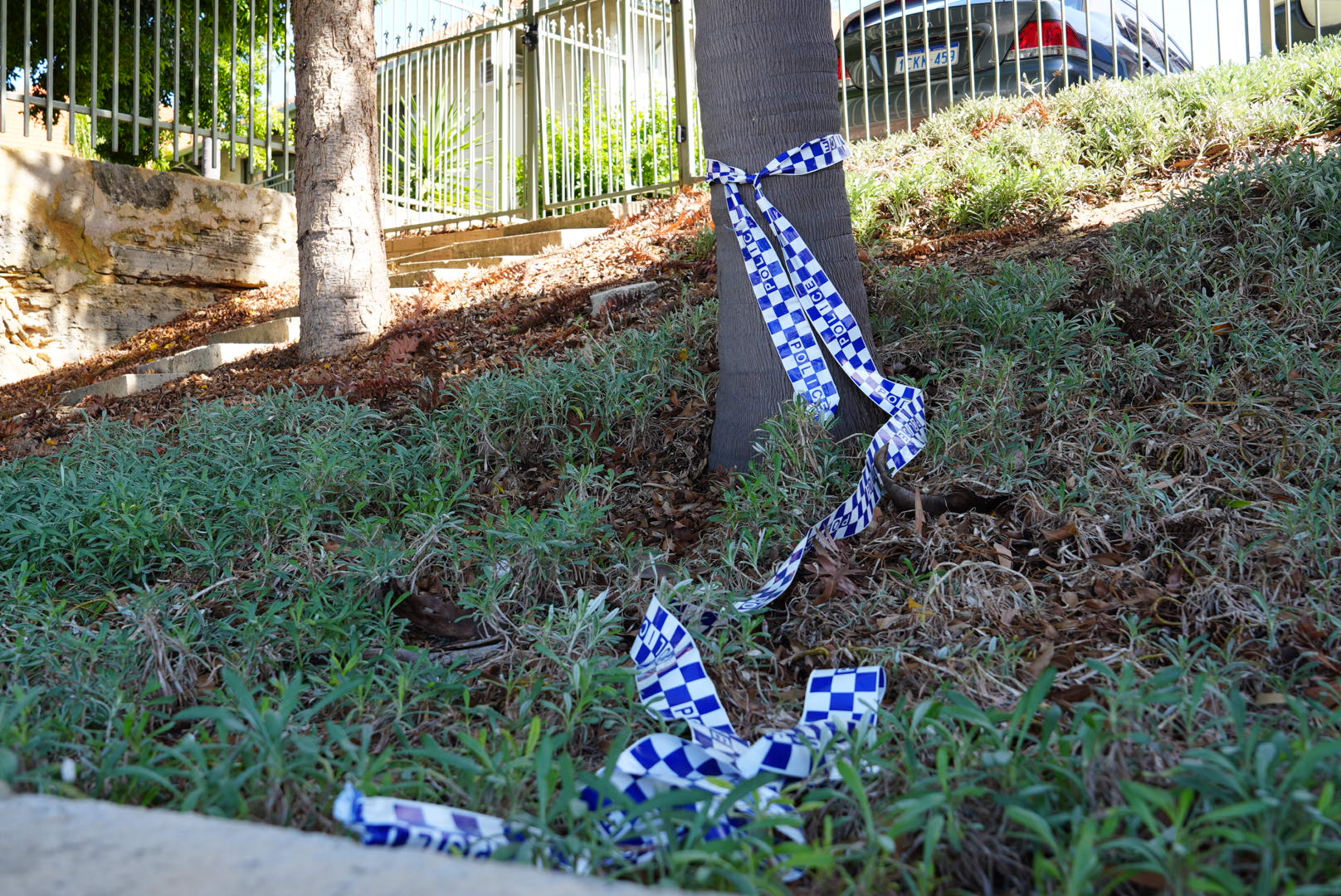 Police tape tied at one end to the base of a tree lies on a grassy slope on a street verge.
