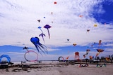 Many kites fly in the sky over a beach.