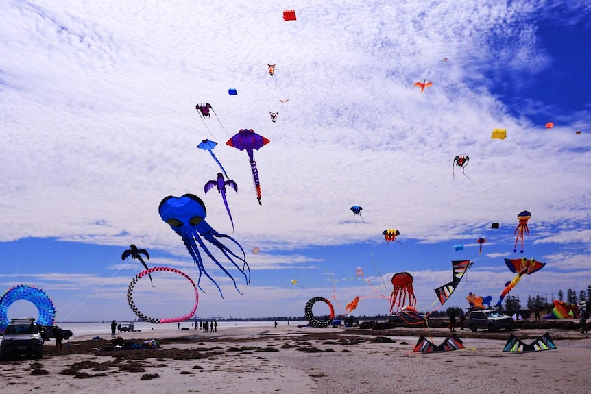 Many kites fly in the sky over a beach.