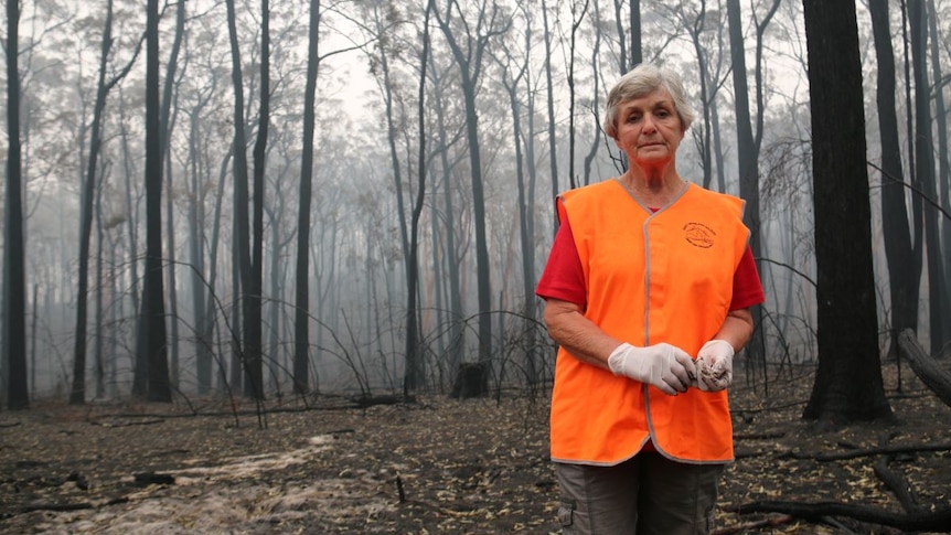 A woman in high visibility orange vest stands in a blacked forest. She wears white rubber gloves and looks sad.