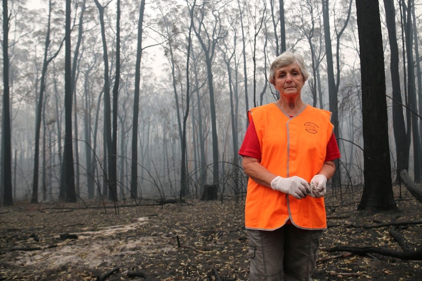 A woman in high visibility orange vest stands in a blacked forest. She wears white rubber gloves and looks sad.