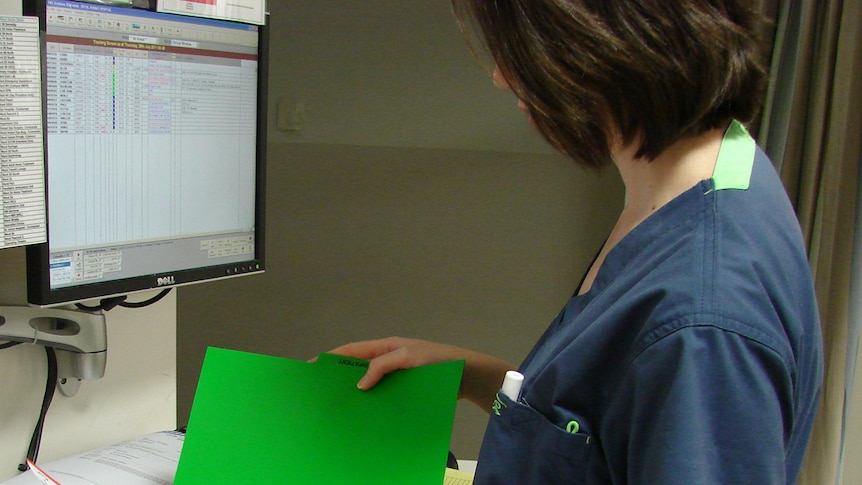 A nurse inspects records in the Royal Hobart Hospital's emergency department