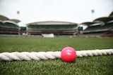 A picture of a pink cricket ball lying next to the boundary rope, with the grandstands partially visible in the background.