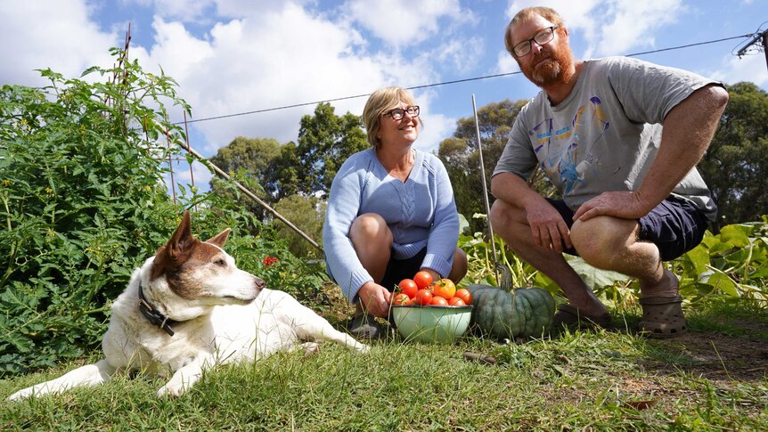 Sascha and Jacqueline Hanel crouch down with tomatoes and a large pumpkin from their backyard alongside their dog.