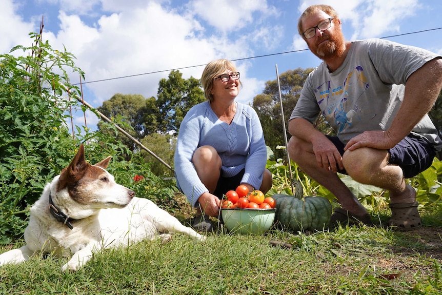 A middle-aged couple crouch down with tomatoes and a large pumpkin from their backyard alongside their dog.