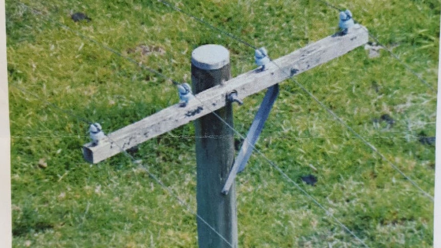 A drone photo of the top of a power pole.