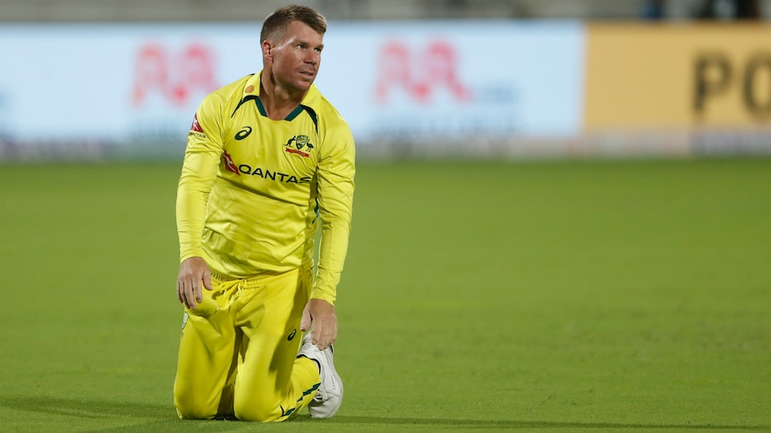 David Warner on his knees