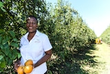 Olabisi Oladele  standing beside a row of fruit trees.