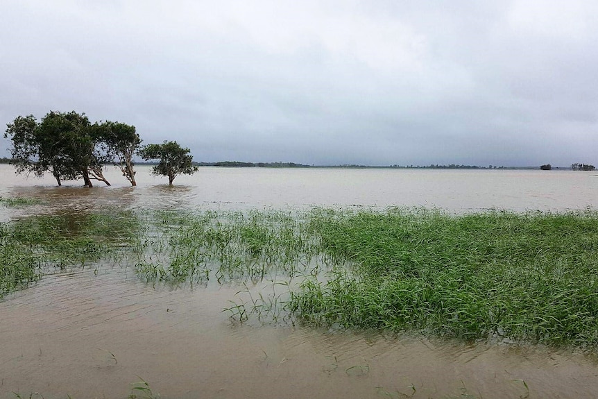 A wide landscape shot showing a large amount of floodwater on an open area of land.