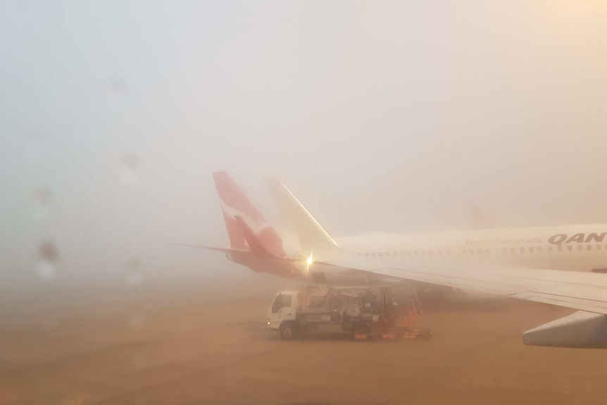 Thick flog at Brisbane airport