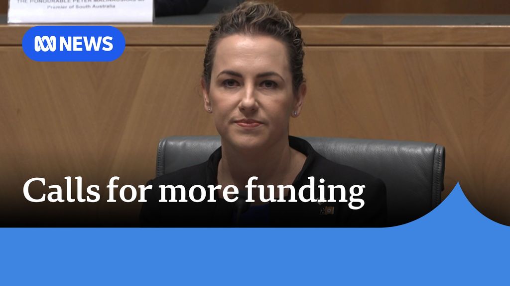 ABC News NT: NT domestic violence sector calls for needs-based funding ...