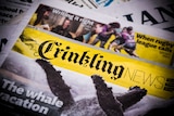 The front page of an edition of Crinkling News, a national newspaper for children