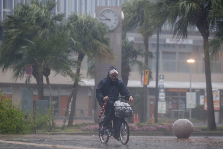 A man on a bicycle makes his way through the rain in Miyazaki, southern Japan.