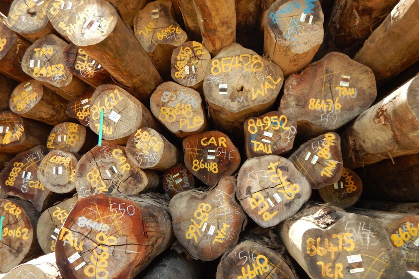 Pile of logs with different numbers and letters painted on their end