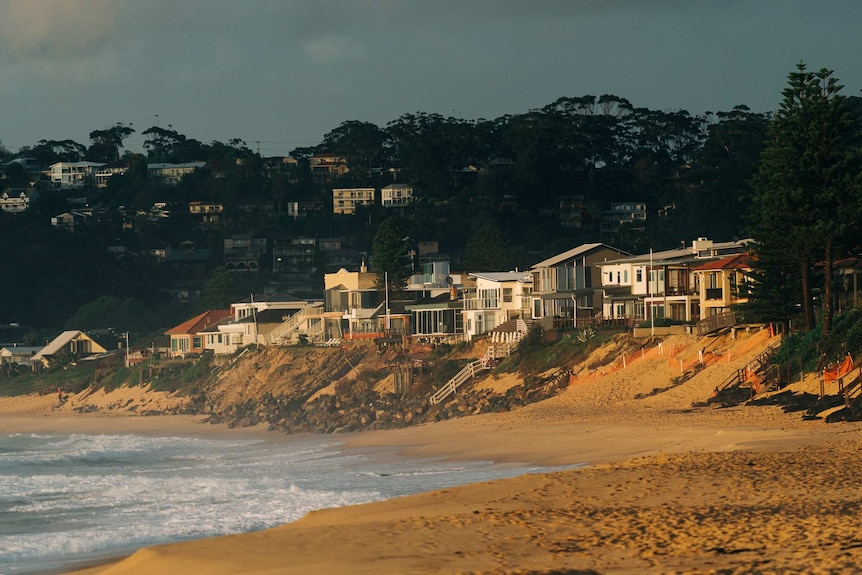 Long shot of Wamberal Beach houses at dawn, bathed with warm light 