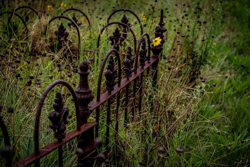 A picture of an old grave with a flower