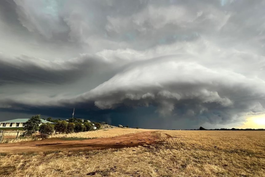 Black clouds with a mushroom formation above dry farmland