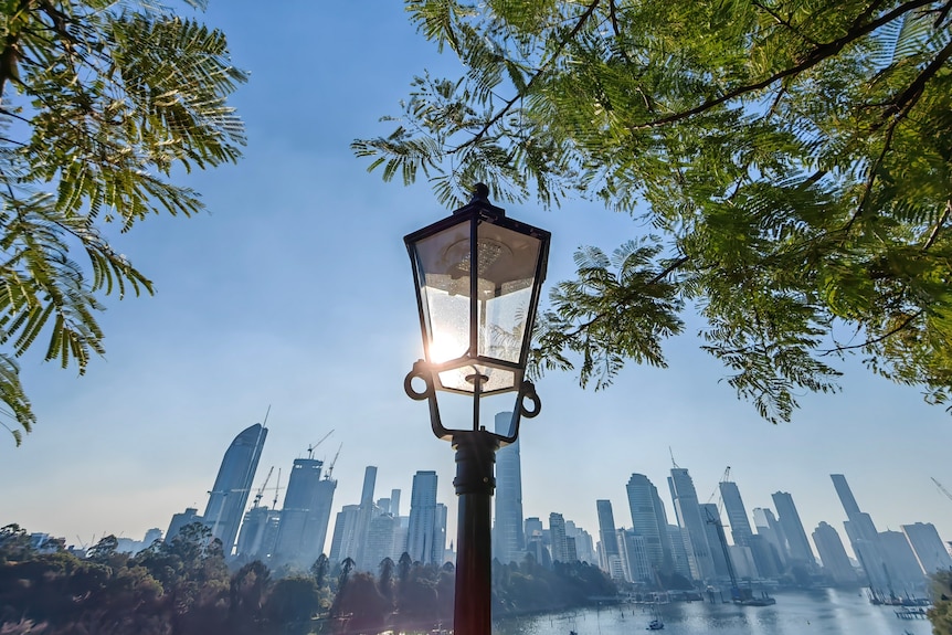 Smoke across Brisbane CBD from Kangaroo Point. Buildings in background, light pole tree in foreground