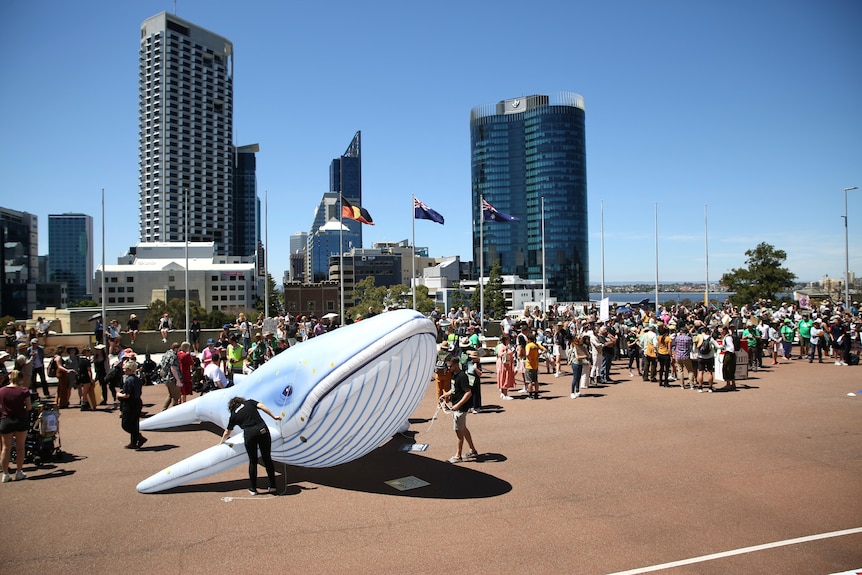 A group of people with an inflatable whale in a city