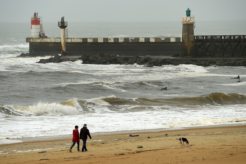 People walking their dog along the beach.