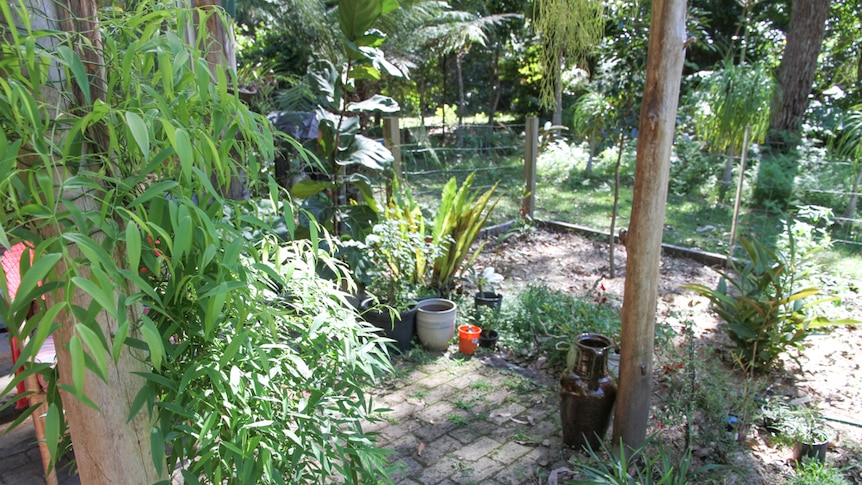 A paved area in a garden with pots and palms.