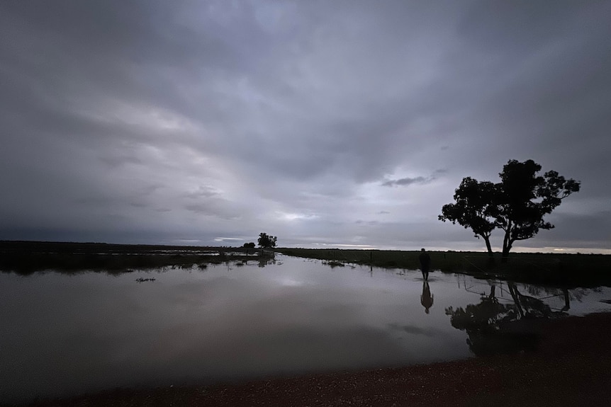 A wet paddock with grey skies and water lying on the ground. 