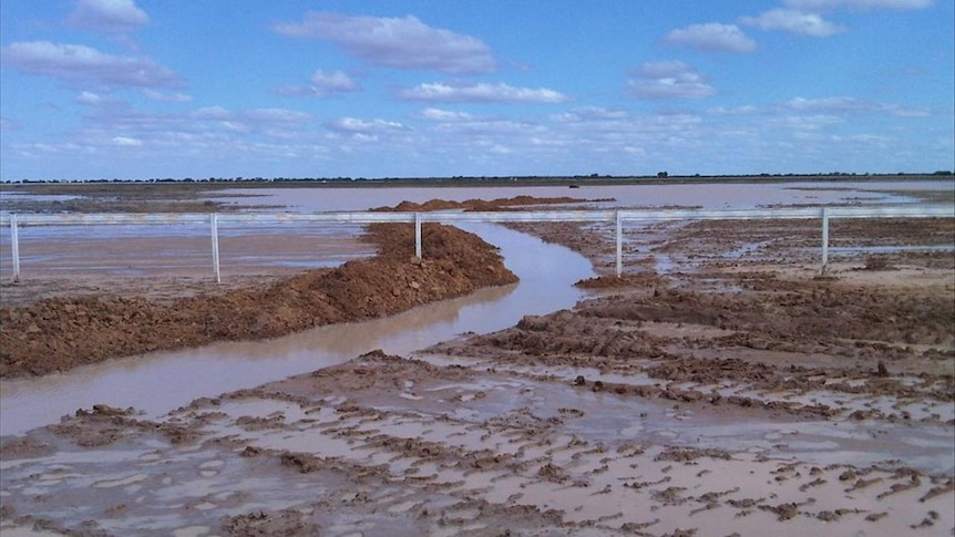 A trench was dug on the Birdsville Race Track to try and drain the track.