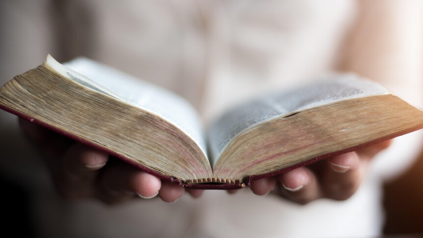 A person's hands holding an open Bible