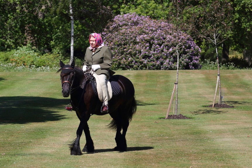 On a bright sunny day, you view Queen Elizabeth II wearing a pink headscarf riding a brown pony along a lawn.